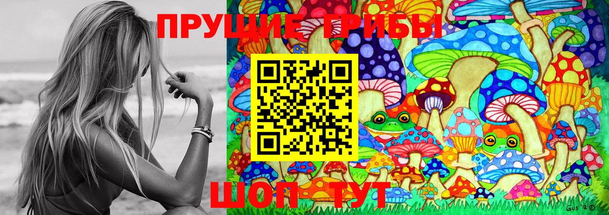 Великий Устюг  Псилоцибиновые грибы Magic Shrooms  Вход с VPN 
