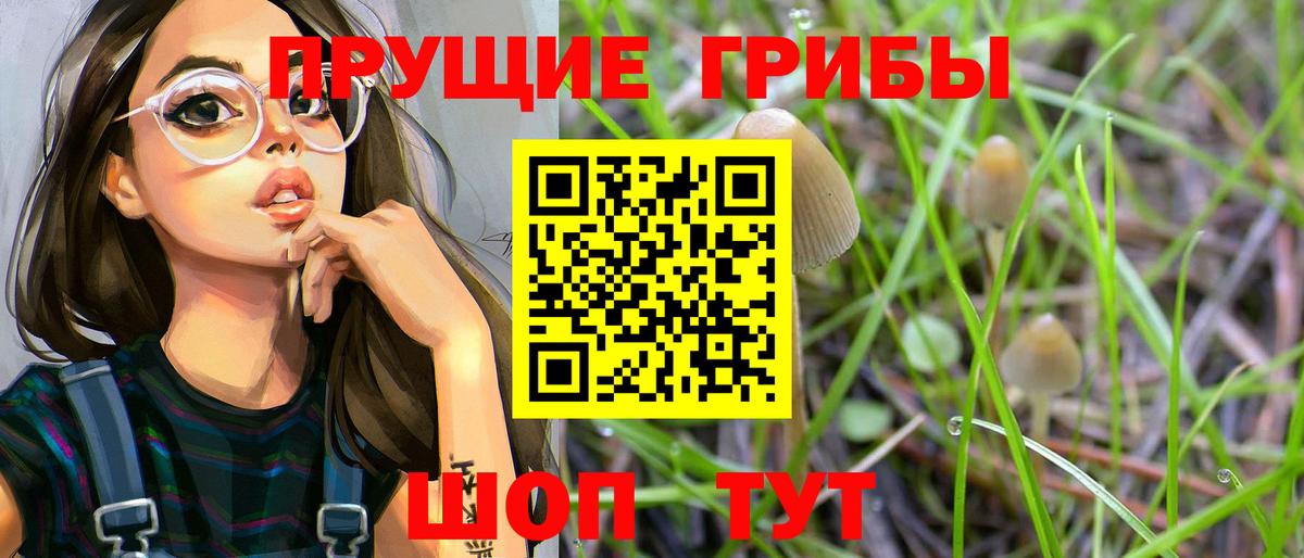 Галлюциногенные грибы Psilocybe Великий Устюг